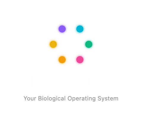 Liberture — Content Creation Manager